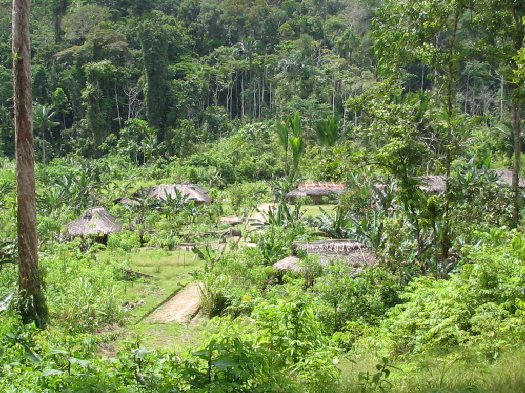 Picture of a village in Papua, Indonesia.