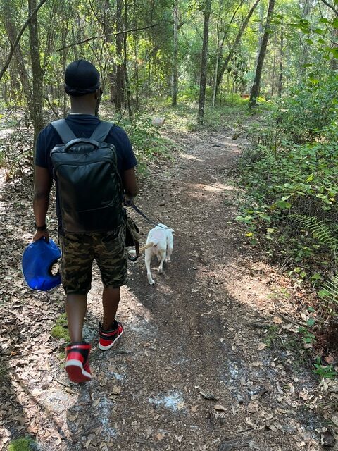 A man and his dog walking on a trail in the woods