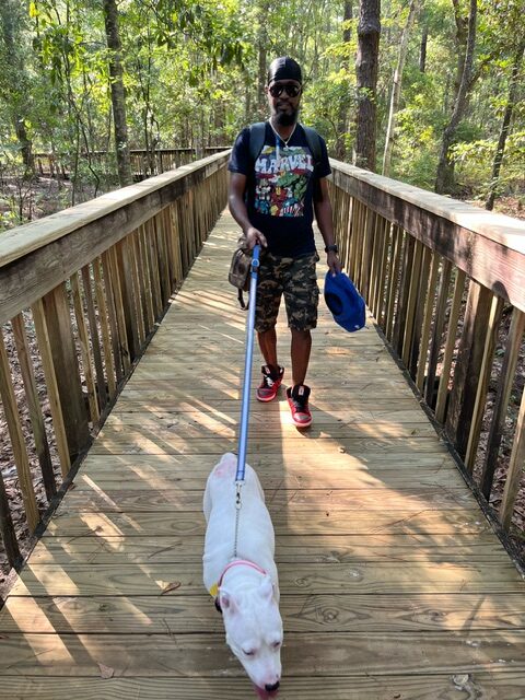 Man and his dog walking on a boardwalk in the woods.