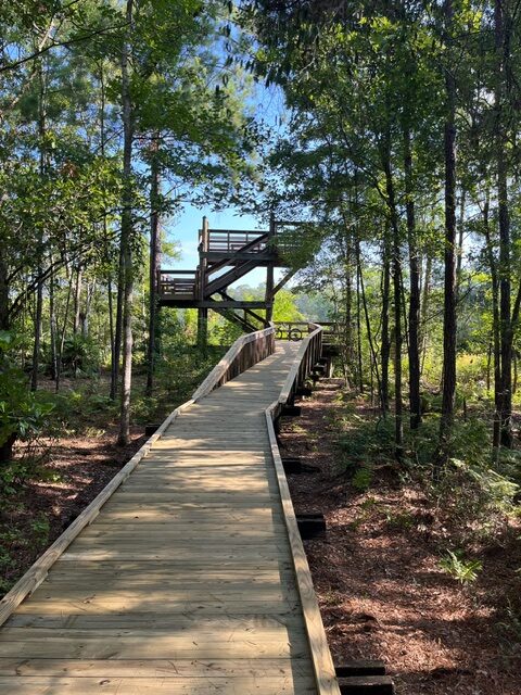 The boardwalk leading up to the observation tower at Tillie K. Fowler Regional Park.