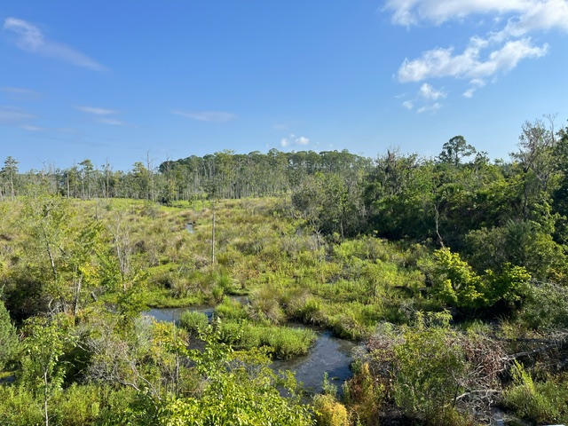 Panoramic view from the observation tower.