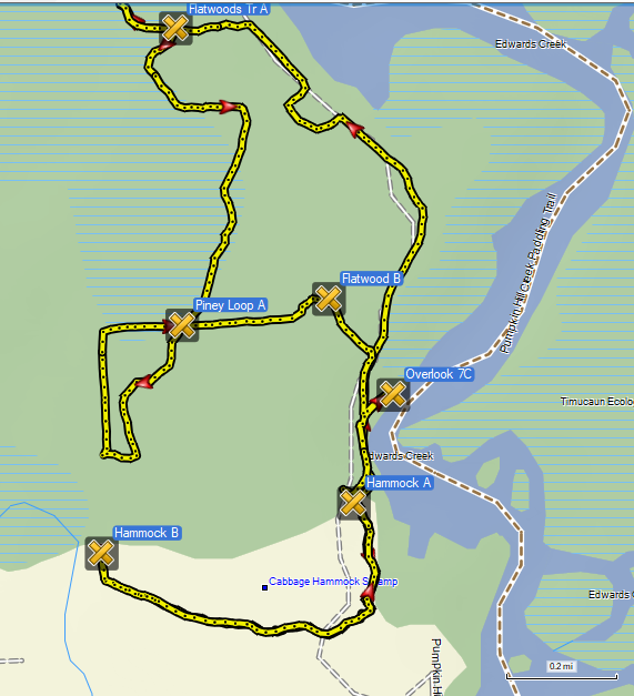 GPS track of the southern Hammock Trail and the Flatwoods and Piney Loop trails.