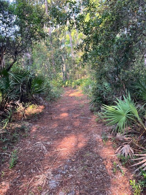 Hammock Trail going to the southern terminus.