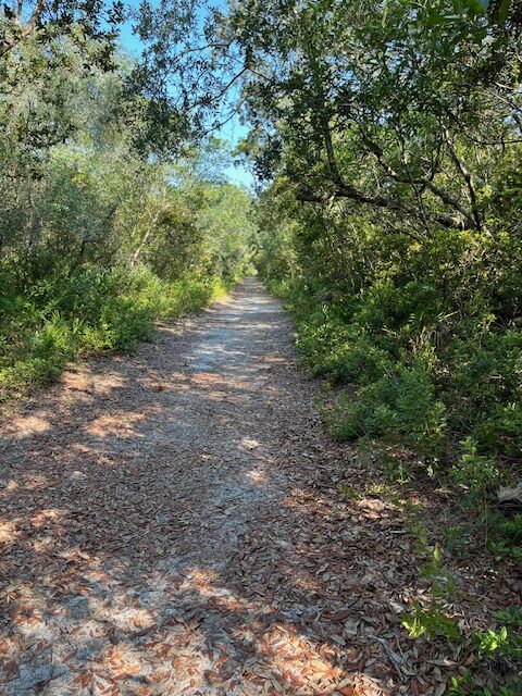 Hammock Trail going towards the northern terminus.