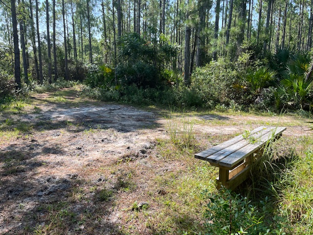 A bench on the Flatwoods Trail.