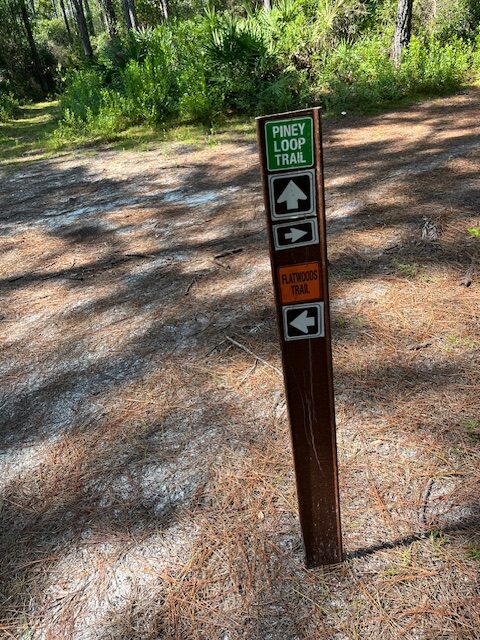 Trail marker stating Piney Loop trail straight or to the right and Flatwoods Trail to the left.