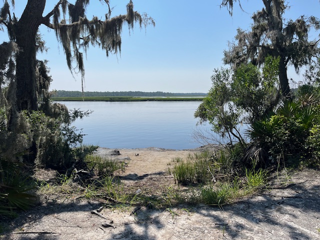 View from the end of the Overlook Spur off the Hammock Trail.