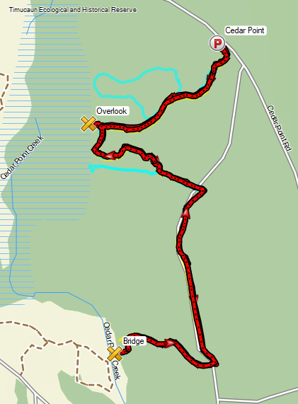 GPS track of the Hammock Trail in the Cedar Point Preserve.