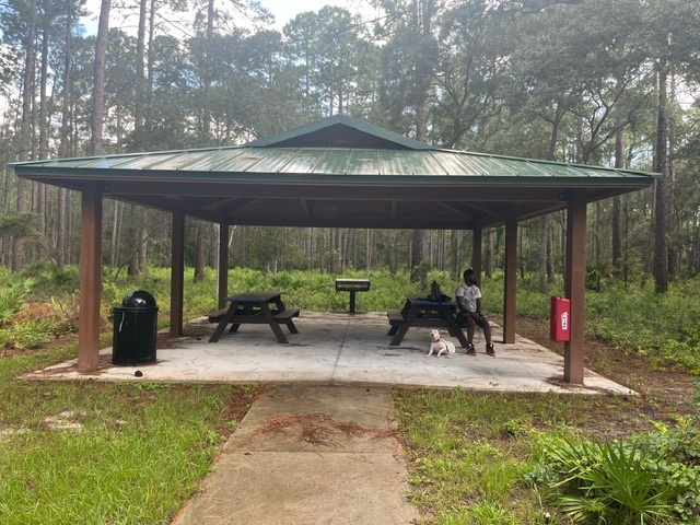 Pavillion at the parking area and trailhead of the Black Hammock Island Trail in the Cedar Point Preserve.