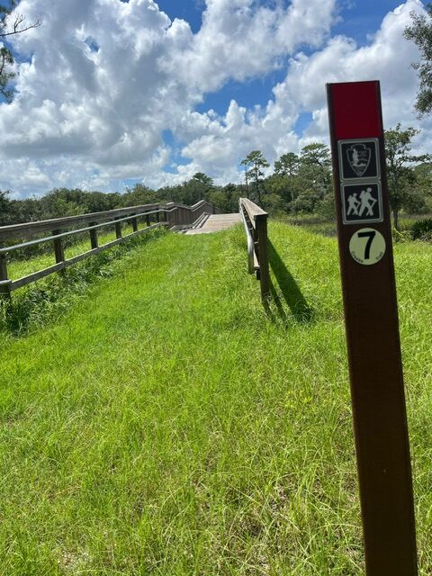 Approach to the wooden bridge over Clapboard Creek in the Cedar Point Preserve.